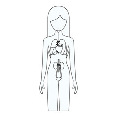 sketch silhouette of female person with internal organs system of human body vector illustration