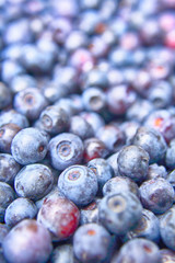 blueberries background