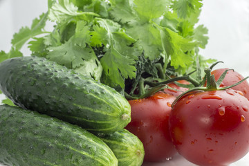 Tomatoes, cucumbers and greens on a white background