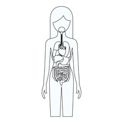 sketch silhouette of female person with internal organs system of human body vector illustration