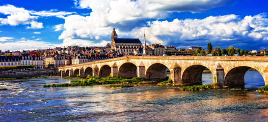 Fototapeta na wymiar Landmarks and beautiful places of France- medieval Blois town in Loire valley.