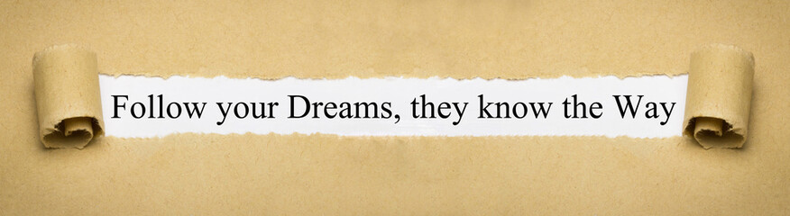Follow your Dreams, they know the Way