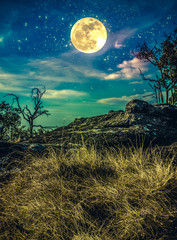 Landscape of night sky with many stars above wilderness. Cross process.