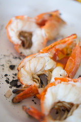 Close-up of giant river prawn grilled