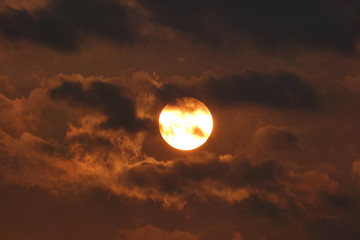 夕日のアップ_716