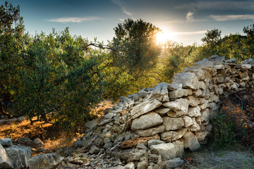 Ancient stone wall on  the Croatian Island Pasman