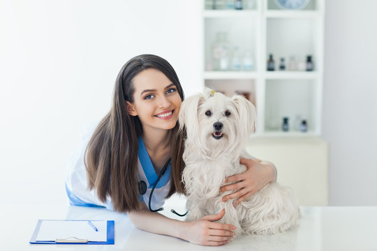 Beautiful smiling veterinarian doctor and cute white dog