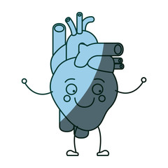 blue color shading silhouette caricature circulatory system with heart vector illustration