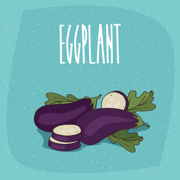 Ripe vegetable fruits aubergine, whole and beautifully cut into pieces. Visible flesh and seeds. Isolated blue background. Realistic hand draw style. Lettering Eggplant