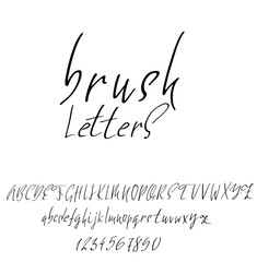 Hand drawn dry brush font. Modern brush lettering. Grunge style alphabet. Vector illustration.