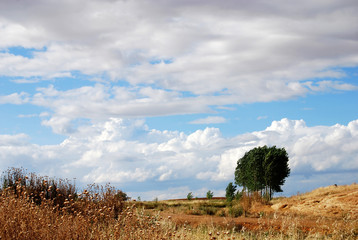 Paisaje