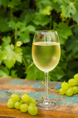 Wine glass with ice cold white wine, outdoor terrace, wine tasting in sunny day, green vineyard garden background.