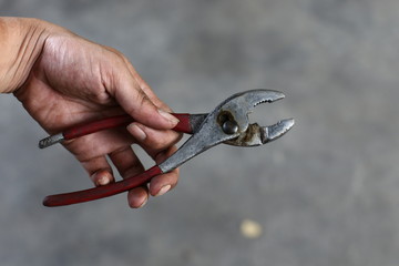 Obraz premium Pliers