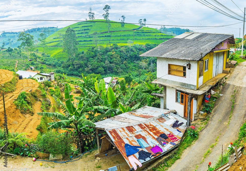 Sticker Panorama of Sri Lankan farm