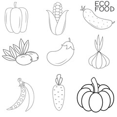 Set of vegetables icons on white background