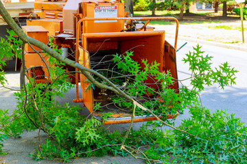 Landscapers using chipper machine to remove and haul chainsaw