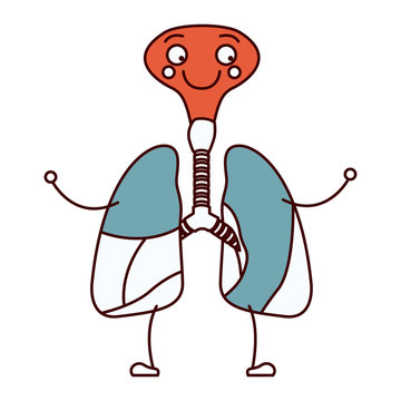 color sections silhouette caricature respiratory system with windpipe vector illustration