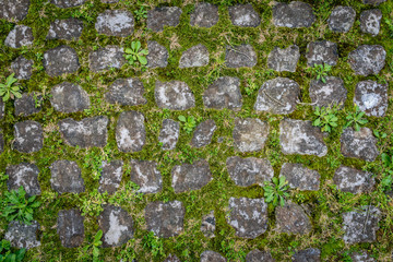 Ancient stone floor pattern with green grass as background in Rome, Italy