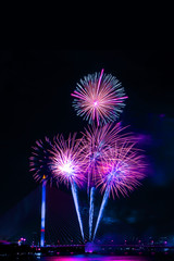 Beautiful colorful firework display for celebration happy new year and merry christmas in the night sky, bangkok city, thailand