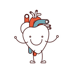 color sections caricature with happy face circulatory system with heart vector illustration