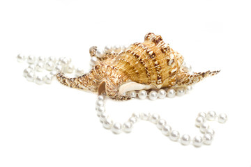 Obraz premium Women wedding jewelry. Long strand of pink river pearls. Collection of natural wedding pearls beads. Macro photo isolated on white background. Beautiful decorative exotic sea shell.