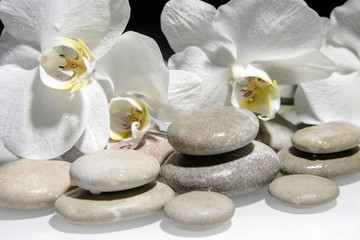 Fototapeta na wymiar flat stones on a white glass on the background of white orchids 