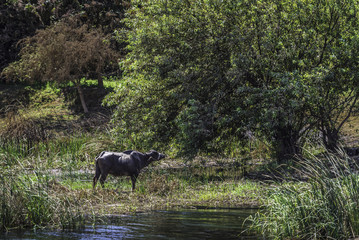 Sailing in the Nile River in upper Egypt