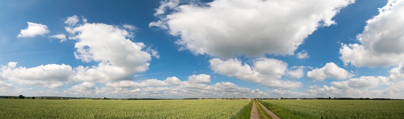 Green field and clear cloudy sky  panorama