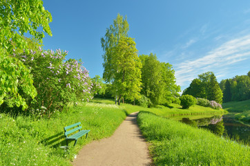 Fototapeta premium The natural landscape in the spring.