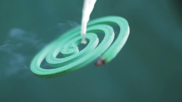 Mosquito Coil, Close Up