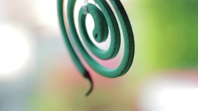 Mosquito Coil, Close Up