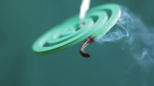 Close Up of Mosquito Coil