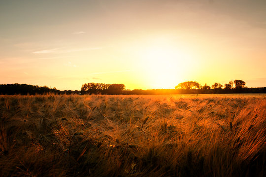 enjoy the summer sunset