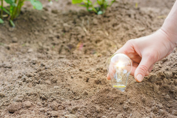 Concept of the growth of ideas.