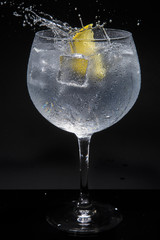 gin tonic