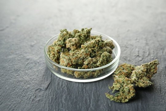 Heap of weed buds and Petri dish on grey background