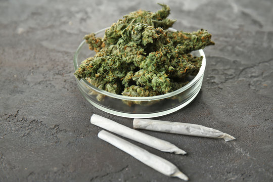 Heap of weed buds in Petri dish with cigarettes on grey background