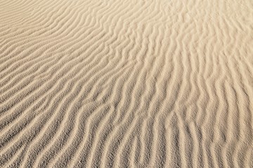Fototapeta na wymiar Sandy waves, sand dune on the beach or desert texture pattern