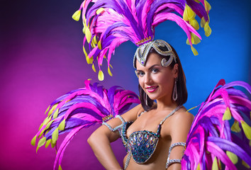 Fototapeta na wymiar Beautiful Girl in carnival costume.