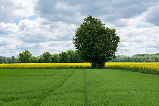 Landschaft