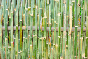 Fototapeta premium Fence made of bamboo with a weave in house Thailand.