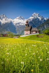 Scenic alpine landscape, blooming meadow with snow-covered peaks in the background, Salzburger Land, Austria