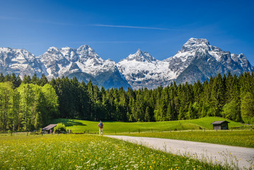 Hiker on path, idyllic alpine landscape, blooming meadow with snow-covered peaks in the background, Salzburger Land, Austria