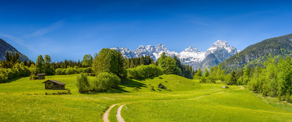 Scenic alpine landscape, blooming meadow with snow-covered peaks in the background, Salzburger Land, Austria