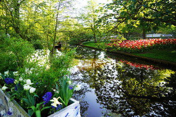 Fototapeta na wymiar Beautiful landscape with lake and blooming flowers