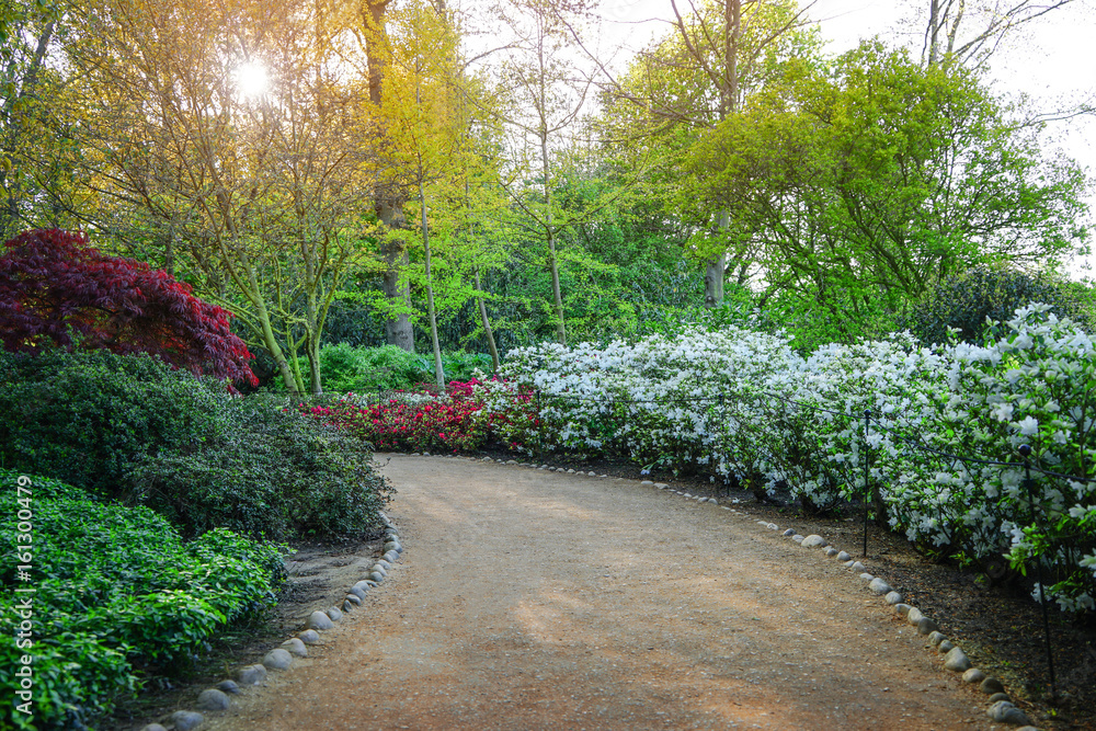 Canvas Prints Beautiful alley in park decorated with blooming flowers