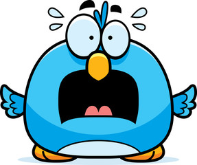 Scared Little Bluebird