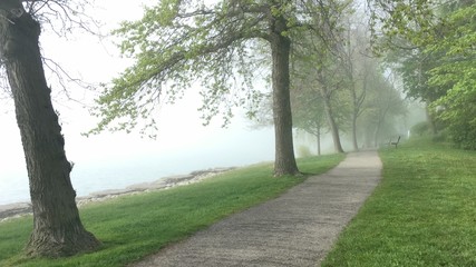Fototapeta na wymiar lago neblina vista