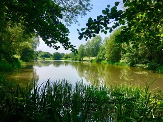 View Of Lake From Within Trees On Bright Sunny Day