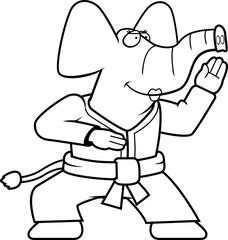 Karate Elephant